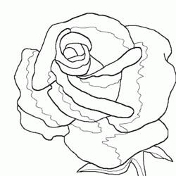 Coloring page: Roses (Nature) #161912 - Free Printable Coloring Pages
