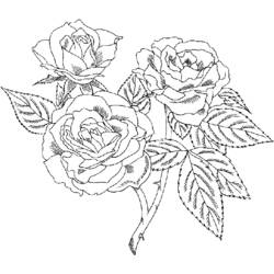 Coloring page: Roses (Nature) #161913 - Free Printable Coloring Pages