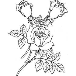 Coloring page: Roses (Nature) #161918 - Free Printable Coloring Pages