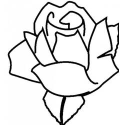 Coloring page: Roses (Nature) #161927 - Free Printable Coloring Pages