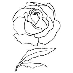 Coloring page: Roses (Nature) #161931 - Free Printable Coloring Pages