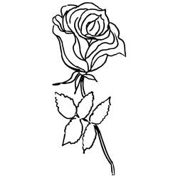 Coloring page: Roses (Nature) #161935 - Free Printable Coloring Pages