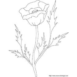 Coloring page: Roses (Nature) #161975 - Free Printable Coloring Pages