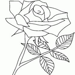 Coloring page: Roses (Nature) #161982 - Free Printable Coloring Pages