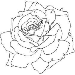 Coloring page: Roses (Nature) #161983 - Free Printable Coloring Pages