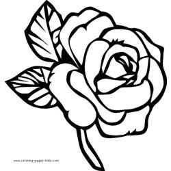 Coloring page: Roses (Nature) #162017 - Printable coloring pages