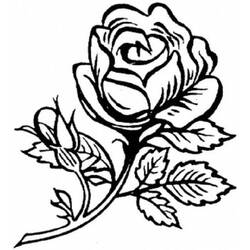 Coloring page: Roses (Nature) #162020 - Free Printable Coloring Pages