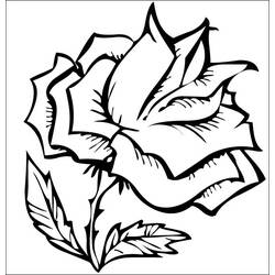 Coloring page: Roses (Nature) #162049 - Free Printable Coloring Pages