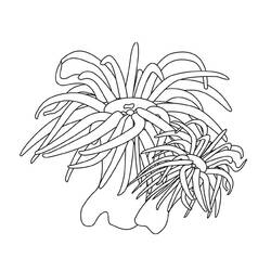 Coloring page: Seabed (Nature) #160113 - Printable coloring pages