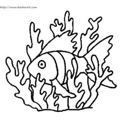 Coloring page: Seabed (Nature) #160144 - Printable coloring pages