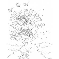 Coloring page: Seabed (Nature) #160248 - Printable coloring pages