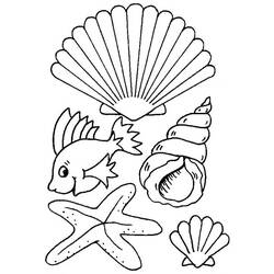 Coloring page: Shell (Nature) #163138 - Printable coloring pages