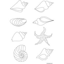 Coloring page: Shell (Nature) #163144 - Free Printable Coloring Pages