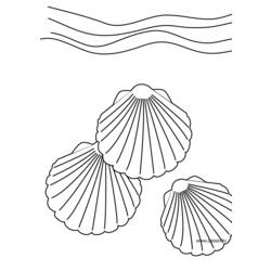 Coloring page: Shell (Nature) #163146 - Printable coloring pages