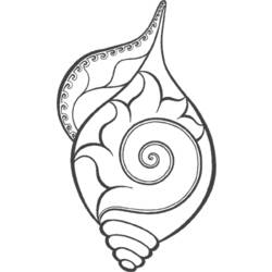 Coloring page: Shell (Nature) #163152 - Free Printable Coloring Pages