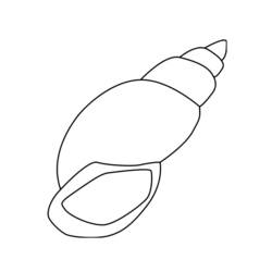 Coloring page: Shell (Nature) #163153 - Free Printable Coloring Pages