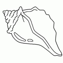 Coloring page: Shell (Nature) #163159 - Free Printable Coloring Pages