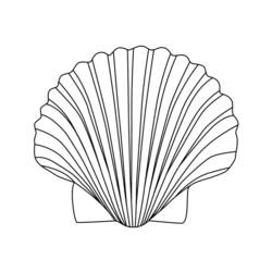Coloring page: Shell (Nature) #163163 - Printable coloring pages