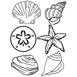 Coloring page: Shell (Nature) #163170 - Printable coloring pages