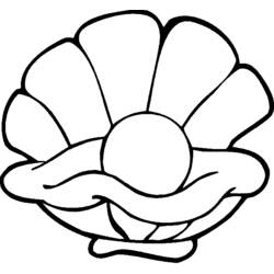 Coloring page: Shell (Nature) #163189 - Printable coloring pages
