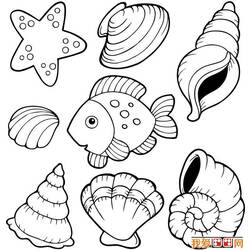 Coloring page: Shell (Nature) #163190 - Printable coloring pages
