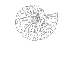 Coloring page: Shell (Nature) #163204 - Free Printable Coloring Pages