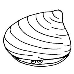 Coloring page: Shell (Nature) #163207 - Free Printable Coloring Pages