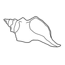 Coloring page: Shell (Nature) #163211 - Free Printable Coloring Pages