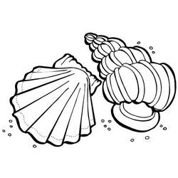 Coloring page: Shell (Nature) #163215 - Free Printable Coloring Pages