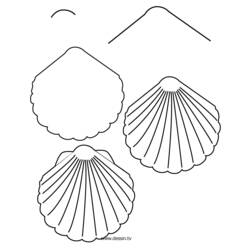 Coloring page: Shell (Nature) #163239 - Printable coloring pages