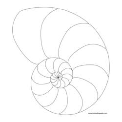 Coloring page: Shell (Nature) #163241 - Printable coloring pages