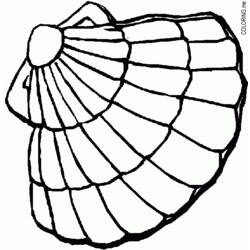 Coloring page: Shell (Nature) #163262 - Free Printable Coloring Pages