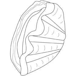 Coloring page: Shell (Nature) #163266 - Free Printable Coloring Pages