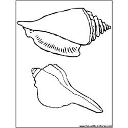 Coloring page: Shell (Nature) #163273 - Printable coloring pages