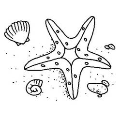 Coloring page: Shell (Nature) #163326 - Printable coloring pages