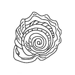 Coloring page: Shell (Nature) #163356 - Free Printable Coloring Pages
