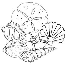 Coloring page: Shell (Nature) #163363 - Printable coloring pages