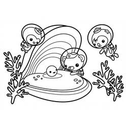 Coloring page: Shell (Nature) #163384 - Free Printable Coloring Pages