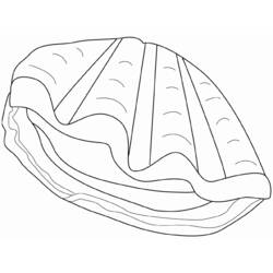 Coloring page: Shell (Nature) #163386 - Free Printable Coloring Pages