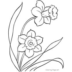 Coloring page: Spring season (Nature) #164795 - Free Printable Coloring Pages