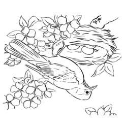 Coloring page: Spring season (Nature) #164821 - Printable coloring pages