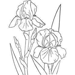 Coloring page: Spring season (Nature) #164823 - Free Printable Coloring Pages