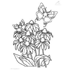 Coloring page: Spring season (Nature) #164854 - Free Printable Coloring Pages