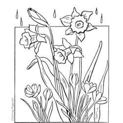 Coloring page: Spring season (Nature) #164876 - Free Printable Coloring Pages