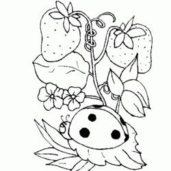 Coloring page: Spring season (Nature) #164894 - Free Printable Coloring Pages