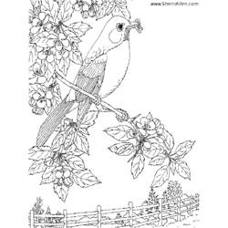 Coloring page: Spring season (Nature) #164967 - Free Printable Coloring Pages