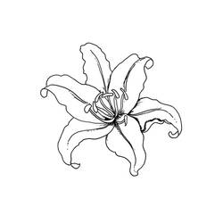 Coloring page: Spring season (Nature) #165008 - Free Printable Coloring Pages