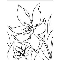 Coloring page: Spring season (Nature) #165014 - Free Printable Coloring Pages