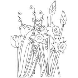Coloring page: Spring season (Nature) #165028 - Free Printable Coloring Pages