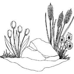 Coloring page: Spring season (Nature) #165054 - Free Printable Coloring Pages